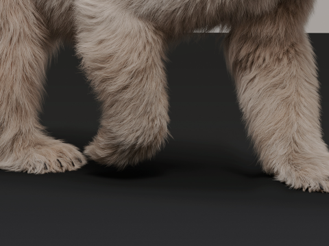 Polar bear 3Dモデル