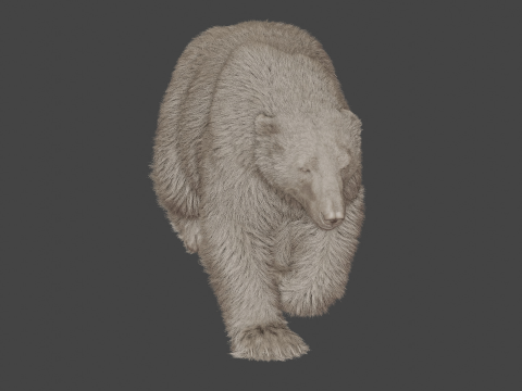 Polar bear 3Dモデル