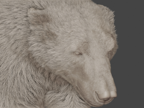 Polar bear 3Dモデル