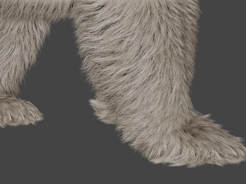 Polar bear 3Dモデル