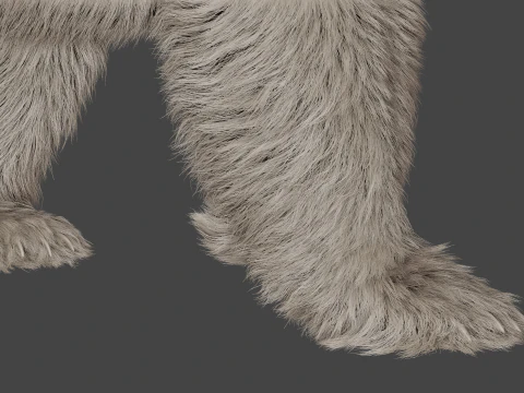 Polar bear 3D Model