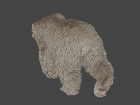 Polar bear 3D Model