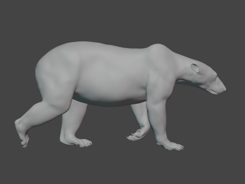 Polar bear 3Dモデル