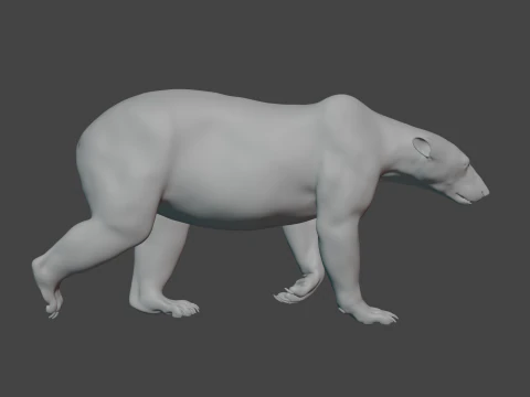 Polar bear 3D Model