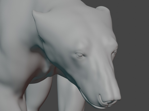 Polar bear 3Dモデル