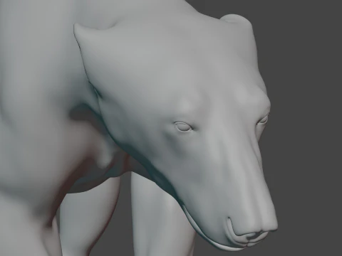 Polar bear 3D Model