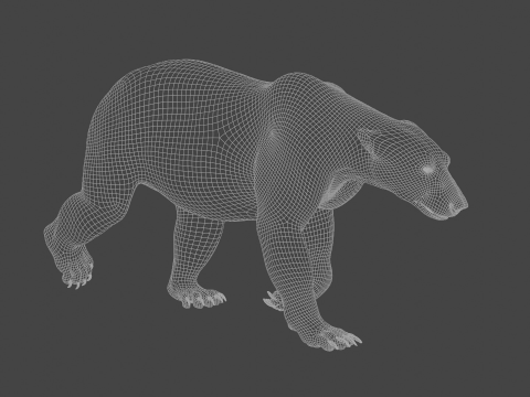 Polar bear 3Dモデル