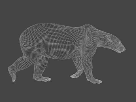 Polar bear 3Dモデル