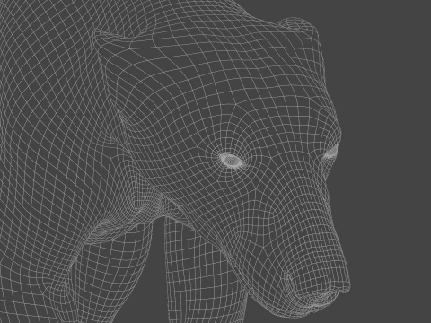 Polar bear 3D Model