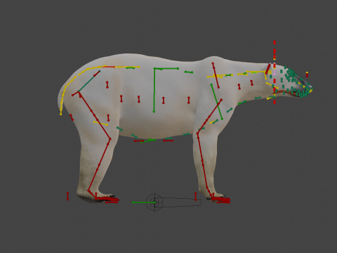 Polar bear 3Dモデル