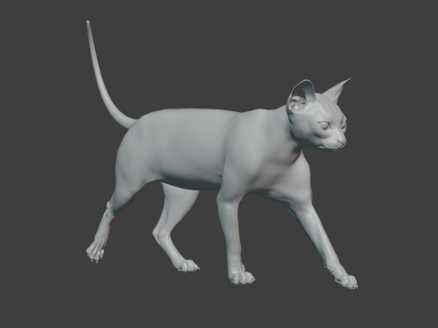 Grey Tabby cat 3D 模型