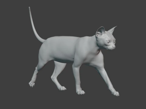 Grey Tabby cat 3D Model