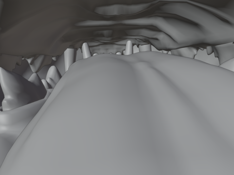 Grey Tabby cat 3D 模型