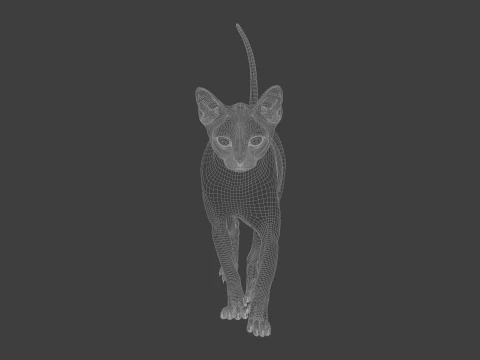 Grey Tabby cat 3D Model