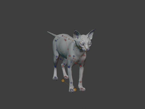 Grey Tabby cat 3D Model