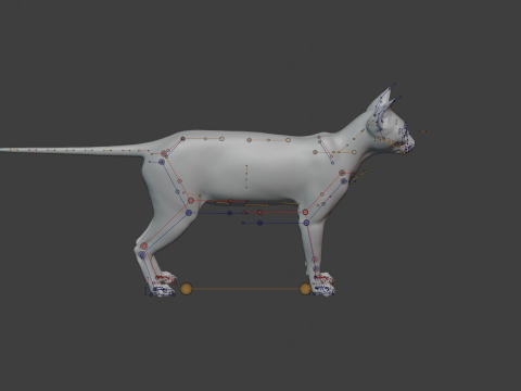 Grey Tabby cat 3D 模型