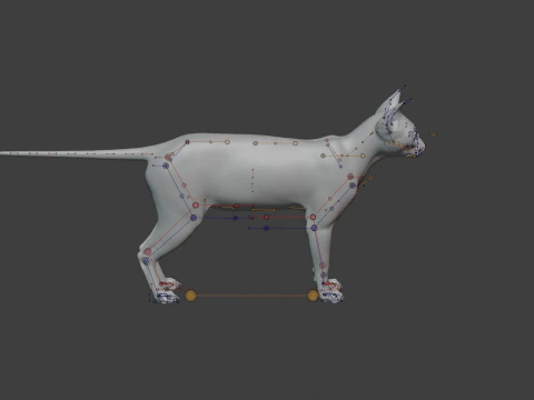Grey Tabby cat 3D Model