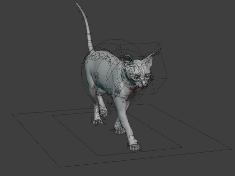 Grey Tabby cat 3D Model