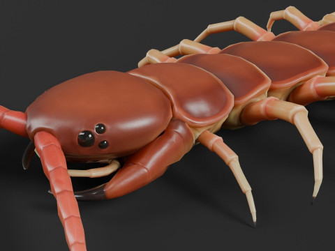 Centipede 3D Model