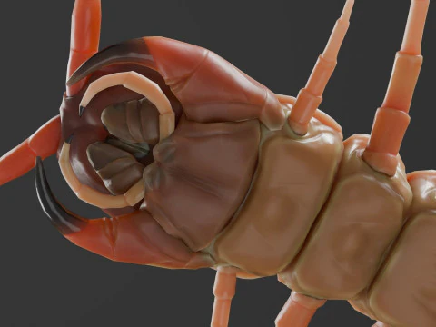 Centipede 3D Model