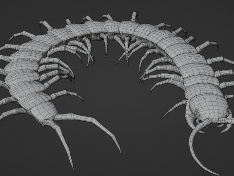 Centipede 3D Model