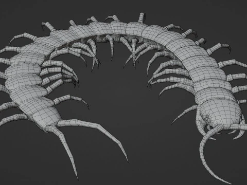 Centipede 3D Model