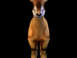 Horse 3D Модель