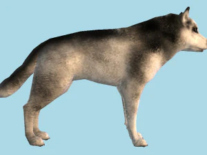 Dog 1 3D Model