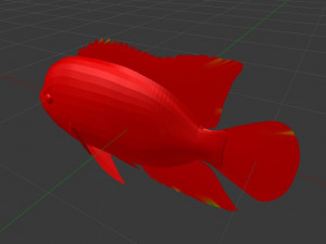 A fish 3D 模型