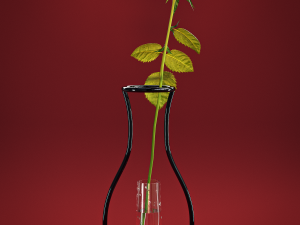 Contour vases collection 3D-Modell