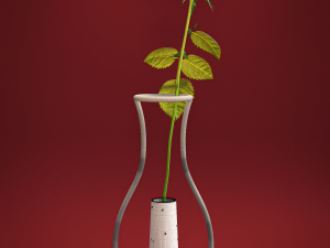 Contour vases collection 3D-Modell