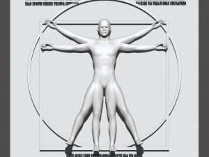 Leonardo da vinci vitruvian man 3D Model