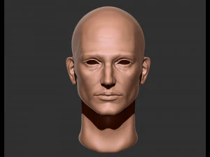Realistic male head 3D Model