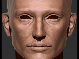 Realistic male head 3D Modell