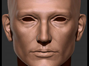 Realistic male head 3D Model