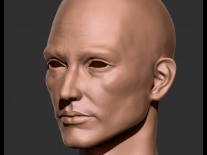 Realistic male head 3D Model