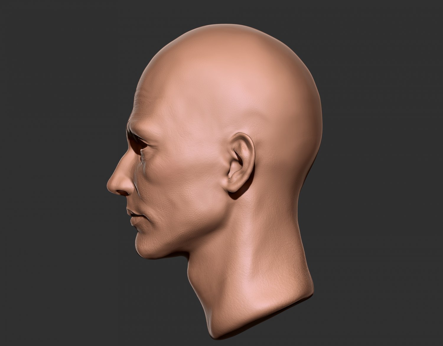 male model side view head