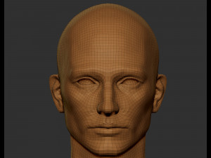 Realistic male head 3D Modell