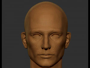 Realistic male head 3D Model