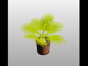 MEGA PACK DE VEGETACION 3D 3D 모델