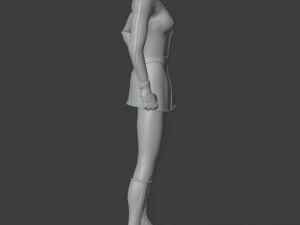 Miwa Jeeg Robot 3D Print Model