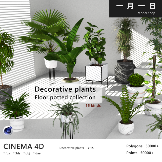 Floor potted collection 3D मॉडल .c4d .max .obj .3ds .fbx .stl .blend 