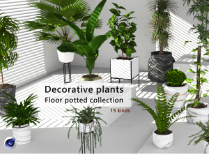 Floor potted collection 3D Model