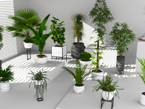 Floor potted collection 3D मॉडल