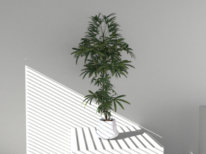Floor potted collection 3D मॉडल
