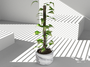 Floor potted collection 3D मॉडल