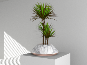 Floor potted collection 3D मॉडल