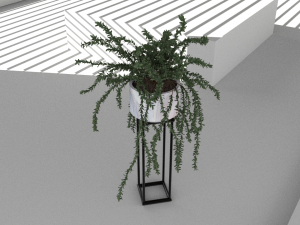 Floor potted collection 3D मॉडल