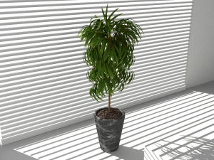 Floor potted collection 3D मॉडल