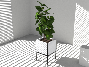 Floor potted collection 3D मॉडल